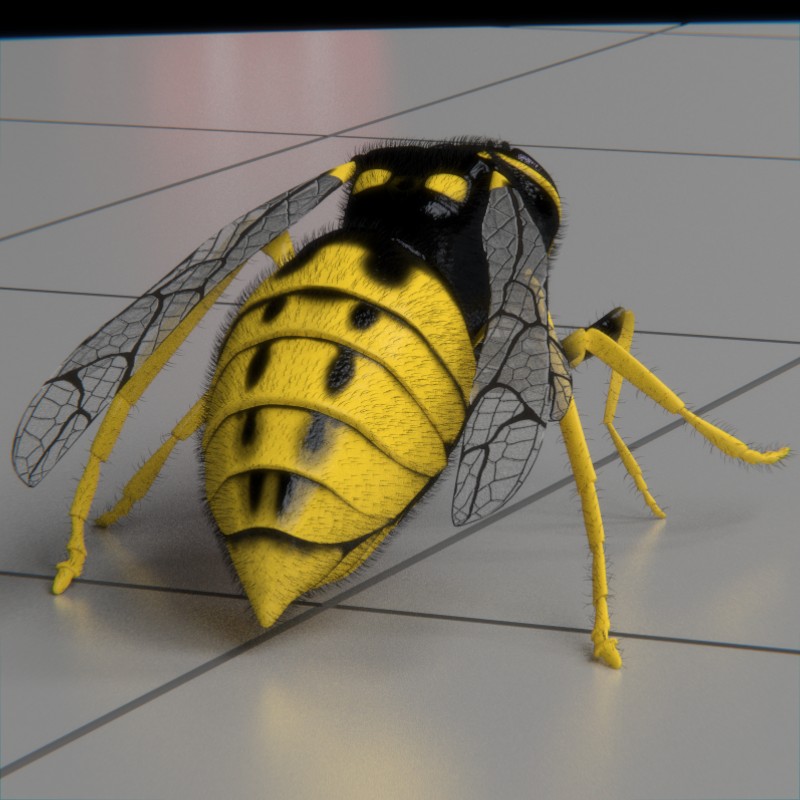 wasp animated preview image 5